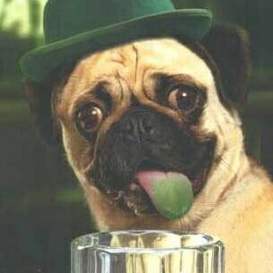 fibrofroggy1's profile picture. Fully boostered Pfizer+Pfizer+Moderna.  Let’s vote the LNP criminals out this year.