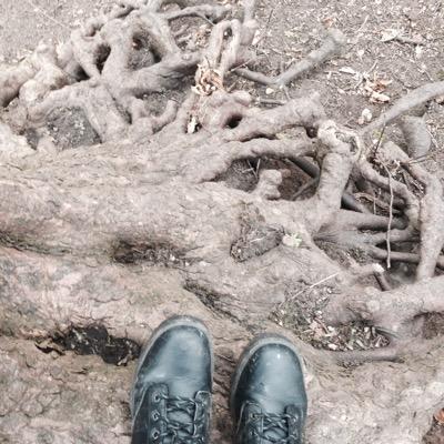 thepratproxy's profile picture. Ignore the body, it's not important.