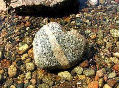 walidnor66's profile picture. 