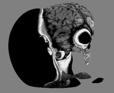 Poly Frangou Profile