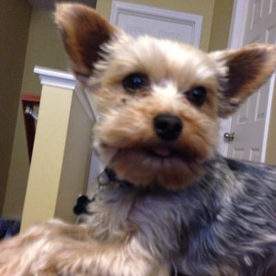 Becky57108636's profile picture. 