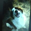 zane young - @zaireyoung1 - Twitter