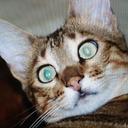 Tracy Fulton - @DrphotonmdTracy - Twitter