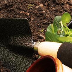 Fresh farmed produce all year