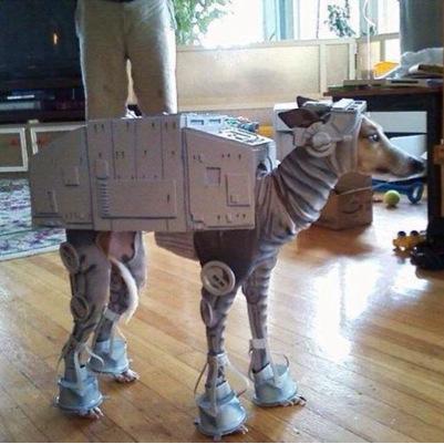 Woof woof