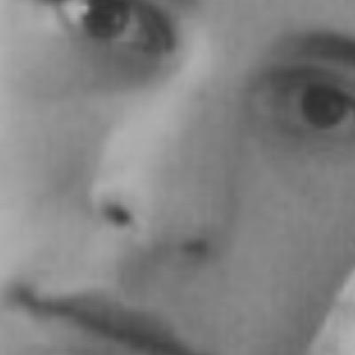 shawn-est indirects