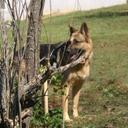 kim wallis - @kimwallis02_kim - Twitter