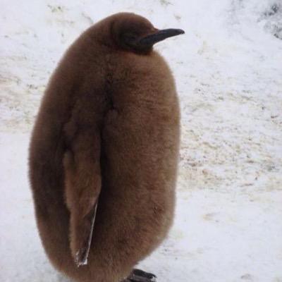 drbob42's profile picture. 