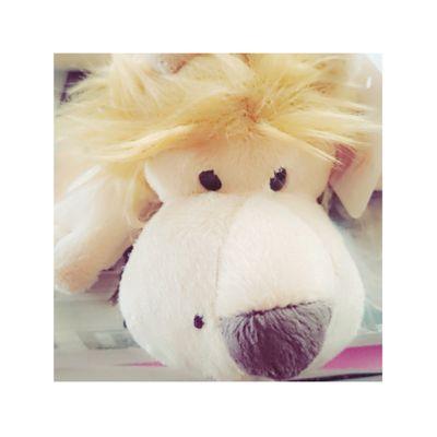 @temio123O ←フォローお願いします☁