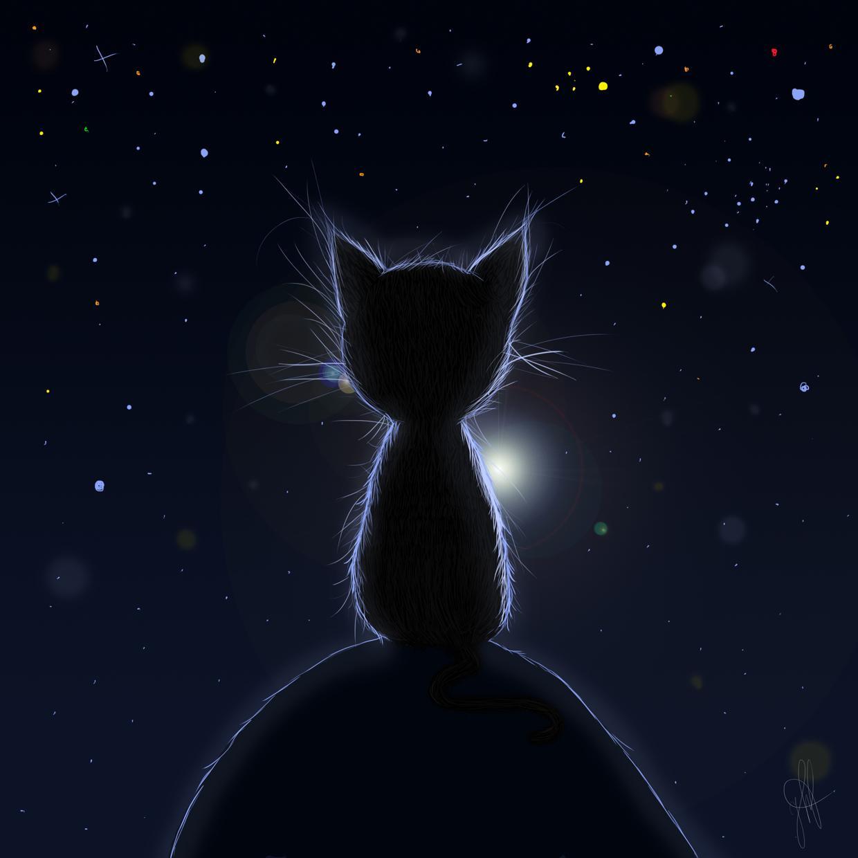 llovei's profile picture. 