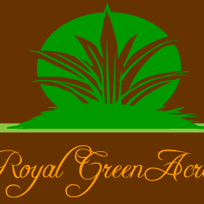 Professional Affordable Landscaping servicing thee entire metro Atlanta area
