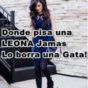 Raul Grimaldo - @raulgrimaldo456 - Twitter