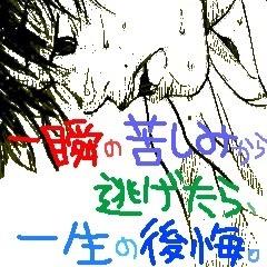 シグさんのプロフィール画像