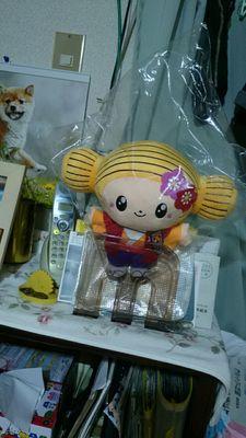 しばいぬ🍎🌷🍉🍑