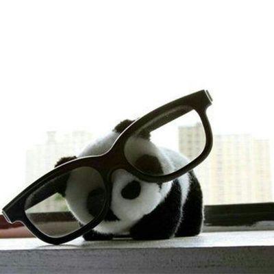 TexasMusicFan77's profile picture. Native Texan, Mother, Feminist