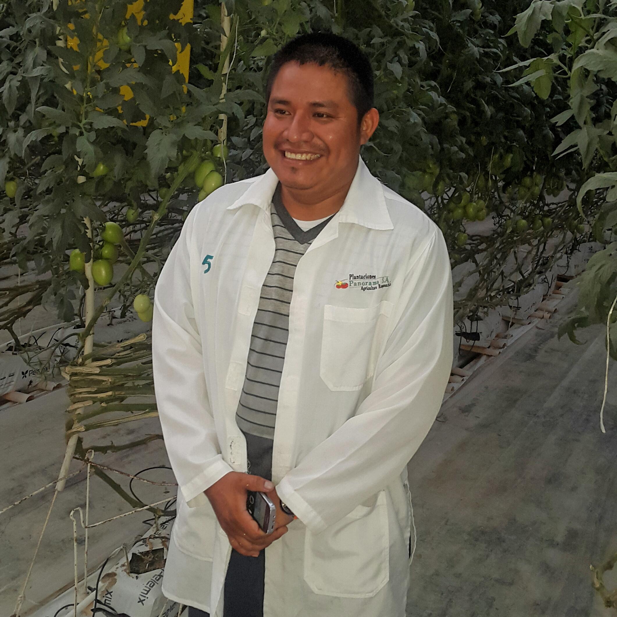 VicenteLudwing's profile picture. 