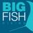 bigfishdiving's profile image