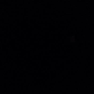 JDShuttleswolf's profile picture.