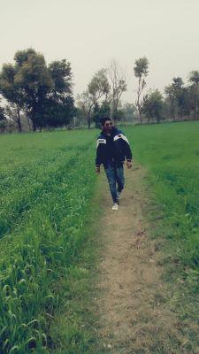 Civil Engineer