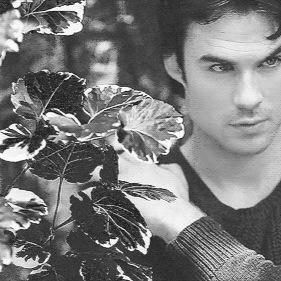 |vampire|unclaimed|big flirt|rp|18+|@FairAwayGone is my little sister, touch her and you die|#on|verison 1:single|verison 2:single