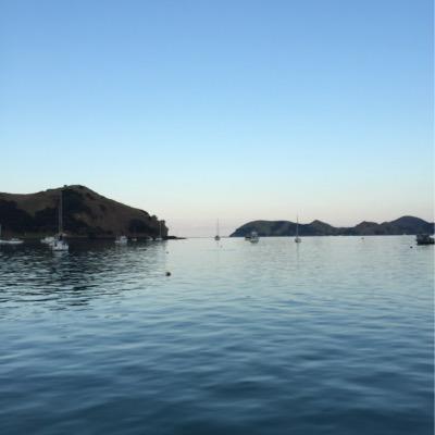 活着