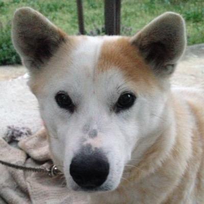 ゲームは1日50時間 本の虫