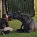 Marie Philip - @X3Midnight - Twitter