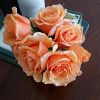 Jo Page (@joeyepage) 's Twitter Profile