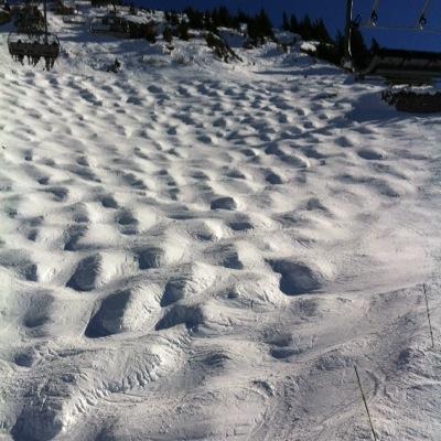 bolau12's profile picture. 