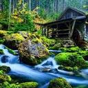 Tracy Fritts - @LovebugFritts - Twitter