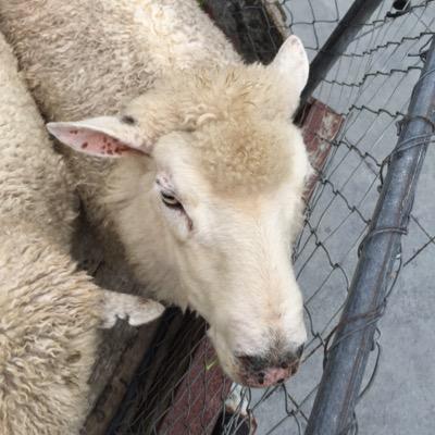 Preschool management
Farm business
Farm technology