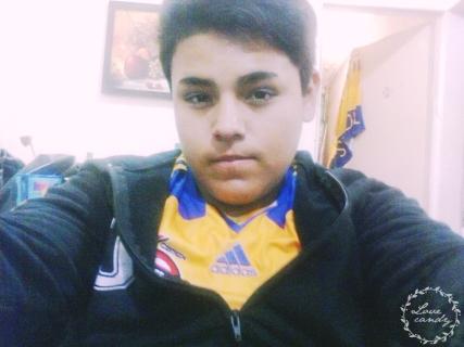alentar a el equipo de mis amores Tigres 3