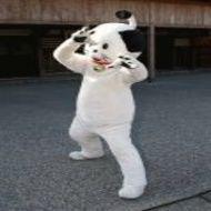 えば (@ebayan123) 's Twitter Profile