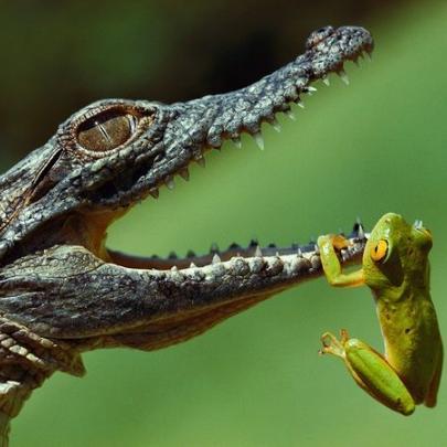 sciencealert0's profile picture. 