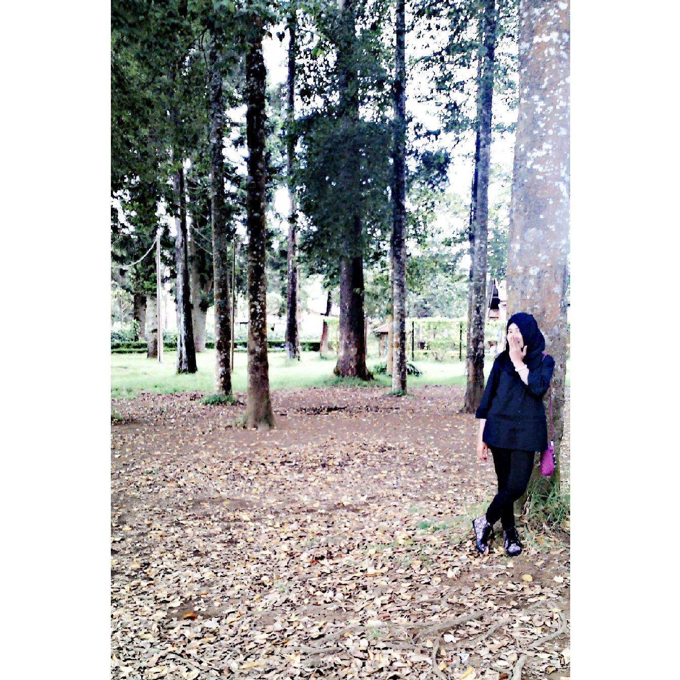 Ig:@mutiaraazzahra27
Pin:5A2B9FBD
Idline:@mutiara022