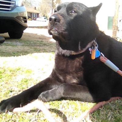 yaracon14's profile picture. 