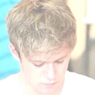 things said by a creature named niall horan
