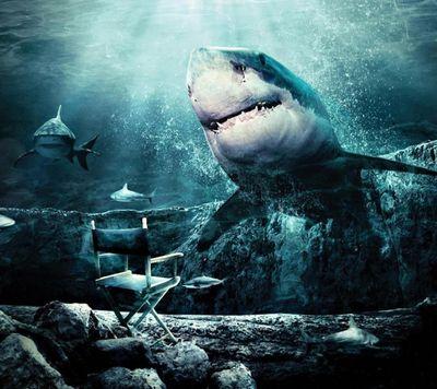 LouPriestley4's profile picture. 