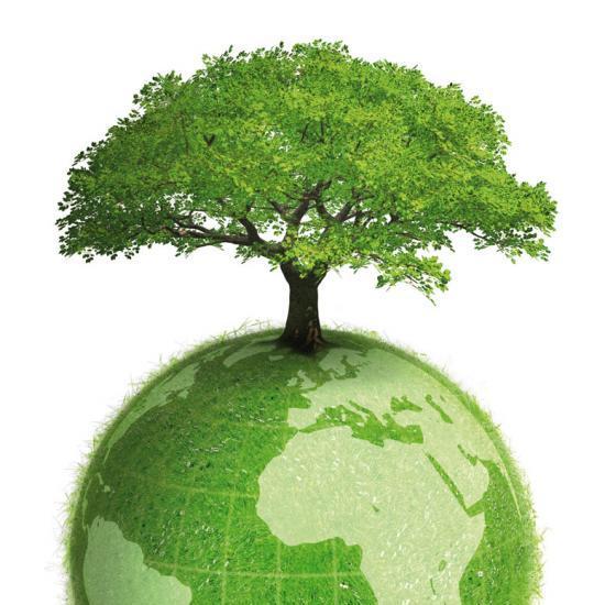 Actu #ecolo #ecologie #environnement