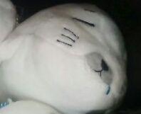 0823Kazu3's profile picture. ワーカーホリック気味のOL。最近手首が腱鞘炎気味。