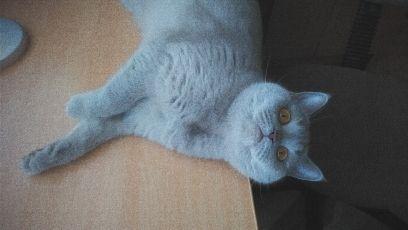 Ann_Kleymeonova's profile picture. 