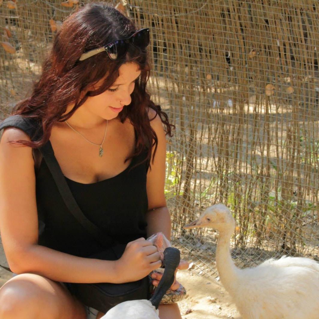 Veterinaria en proceso de construcción. Animales/Fotografía/Música ♫