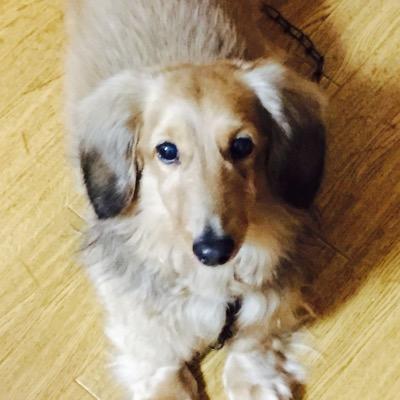 Koudai11261's profile picture. 