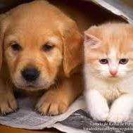 munoz_mart_j's profile picture. Profesora secundaria