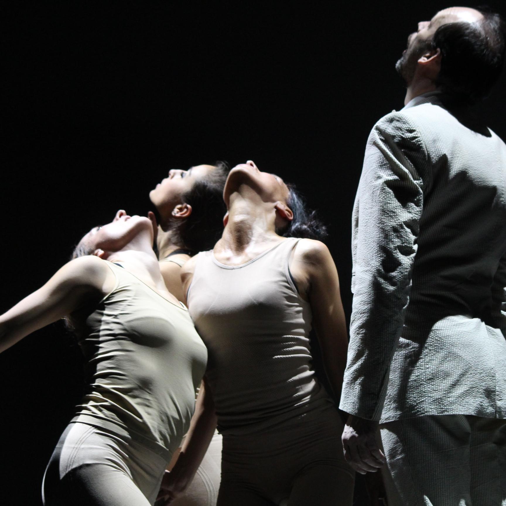 rewind fast forward, multidisciplinair work of Sharmini Tharmaratnam&Co. info http://t.co/5c8snBPbAV