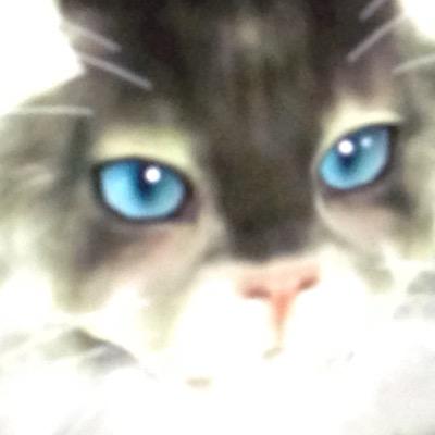 最近レゲーに回帰しました。特にドルアーガシリーズ( BCS)が大好き