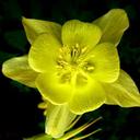 Susan Beaty Myers - @BeatyMyers - Twitter