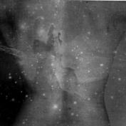 Соловьёв (@bellottivu09) 's Twitter Profile