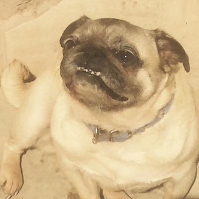 oussama_atif's profile picture. 