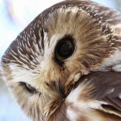くっだらねー事。真剣な事。書いてます。
ご観覧の際はご注意を。